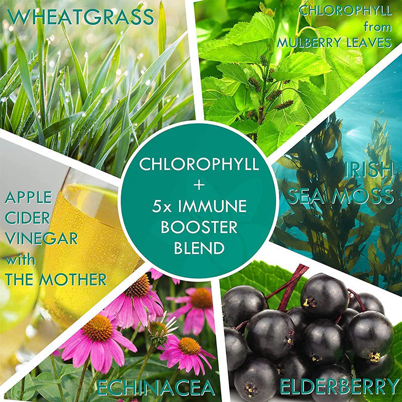 Sugar Free Chlorophyll Gummies - with Unfiltered ACV, Sea Moss & Elderberry, Echinacea, Vitamin D3, C, E, B12 - Natural Deodorant, Breathe Fresh, Immune & Digestion Support, Vegan Delicious Chews 60Ct